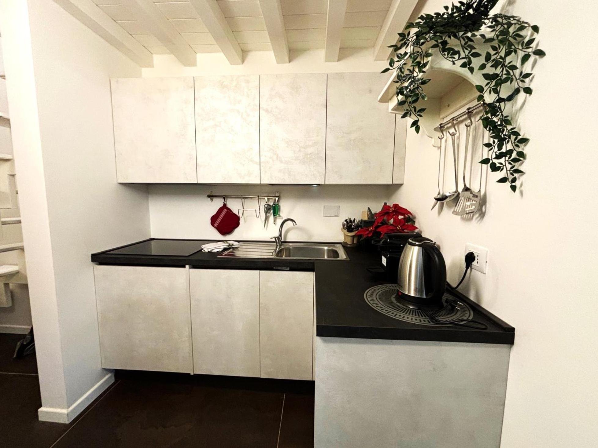 Purple Lily Apartment Florenz